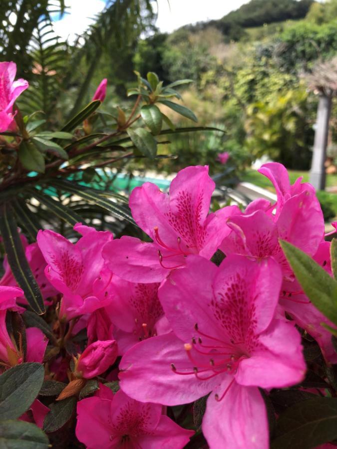 Quinta Da Bela Vista Βίλα Πόντα Ντελγκάντα Εξωτερικό φωτογραφία